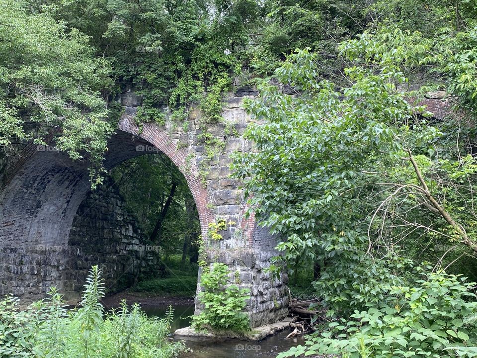 Abandoned sone arch bridge 