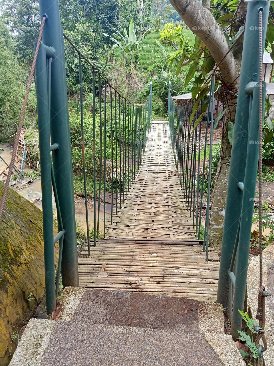 bamboo bridge