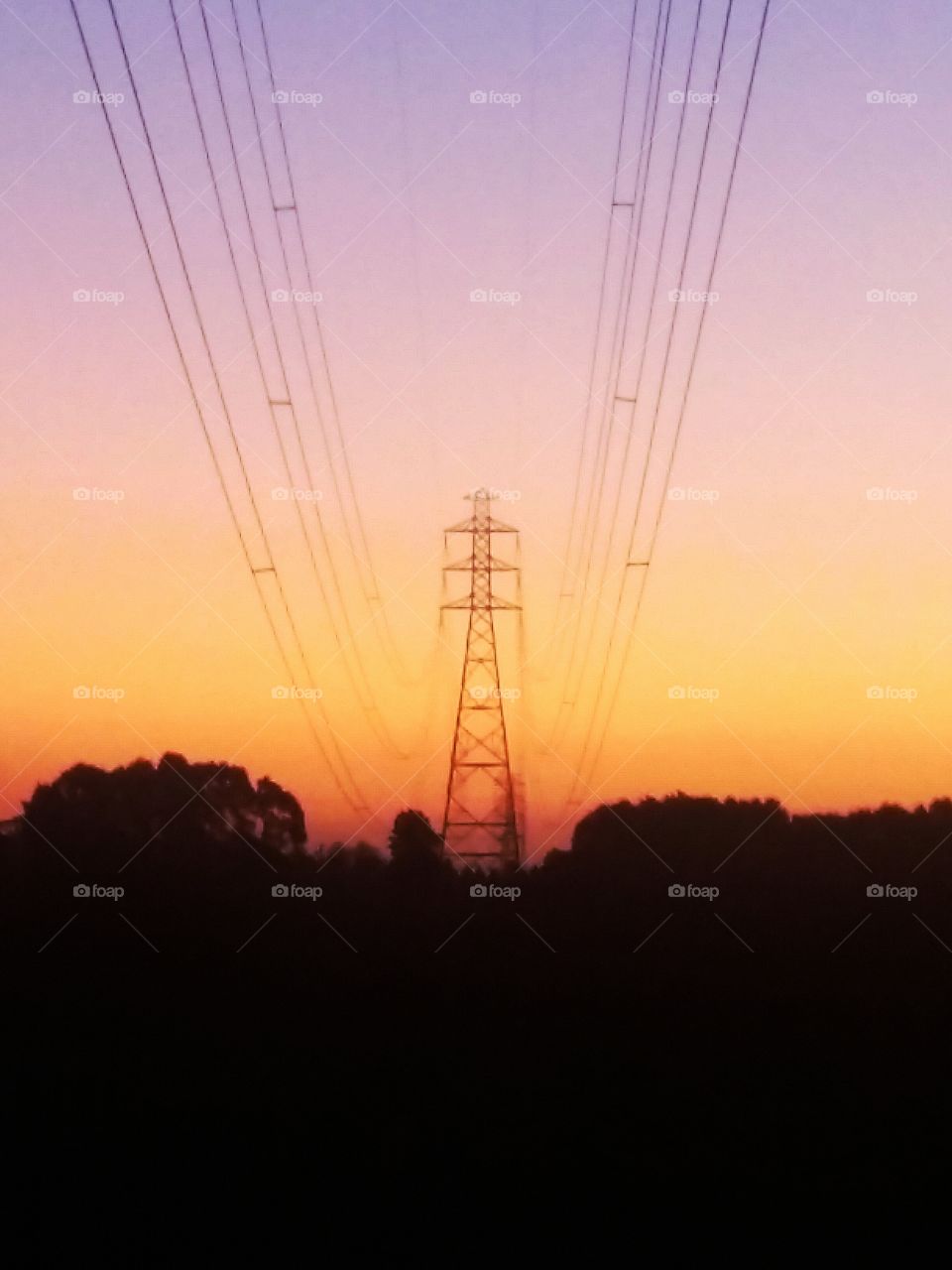 sunset over powerlines