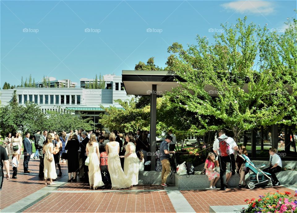 Wedding in Salt Lake City Jesus Christ Latter Day Saint Church- Mormon Temple