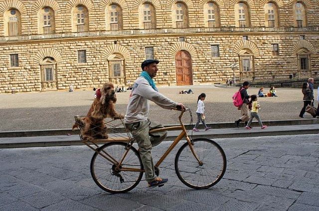 Riding a bike in Florence