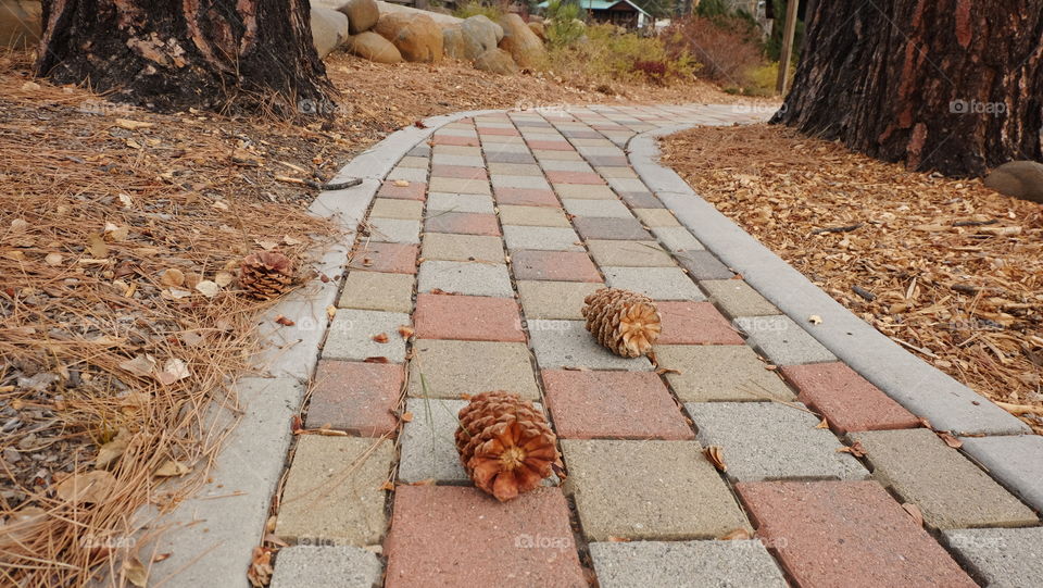 Rectangular patterns on brick pathway