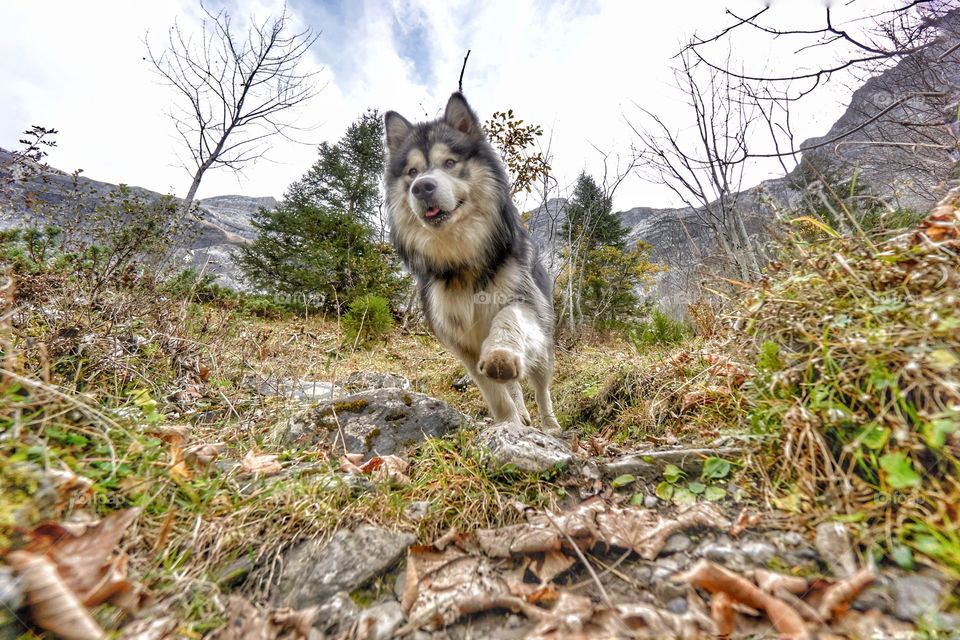 Hiking in the mountains