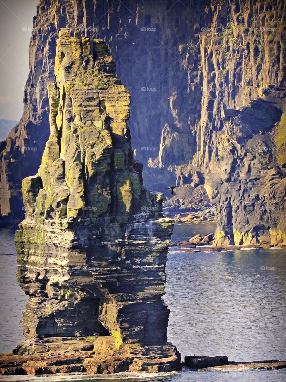 Scene from Coast of Ireland