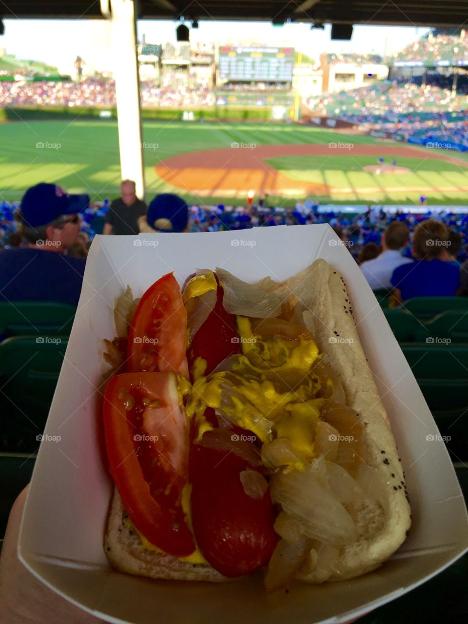 Baseball hotdog