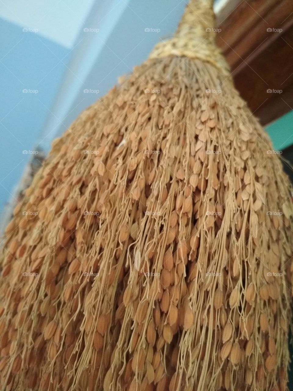Original Rice Paddy