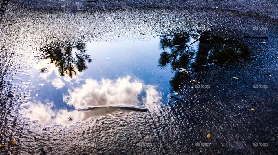 Learn to see beauty in the puddles of life