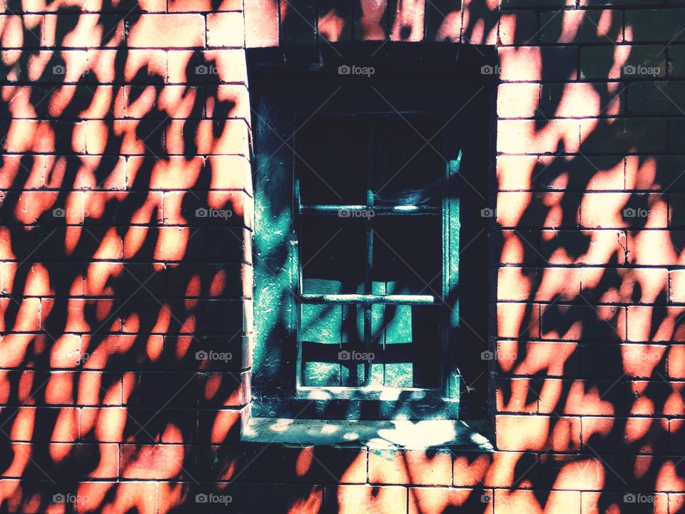 Shadows in the woods on the red house facade 