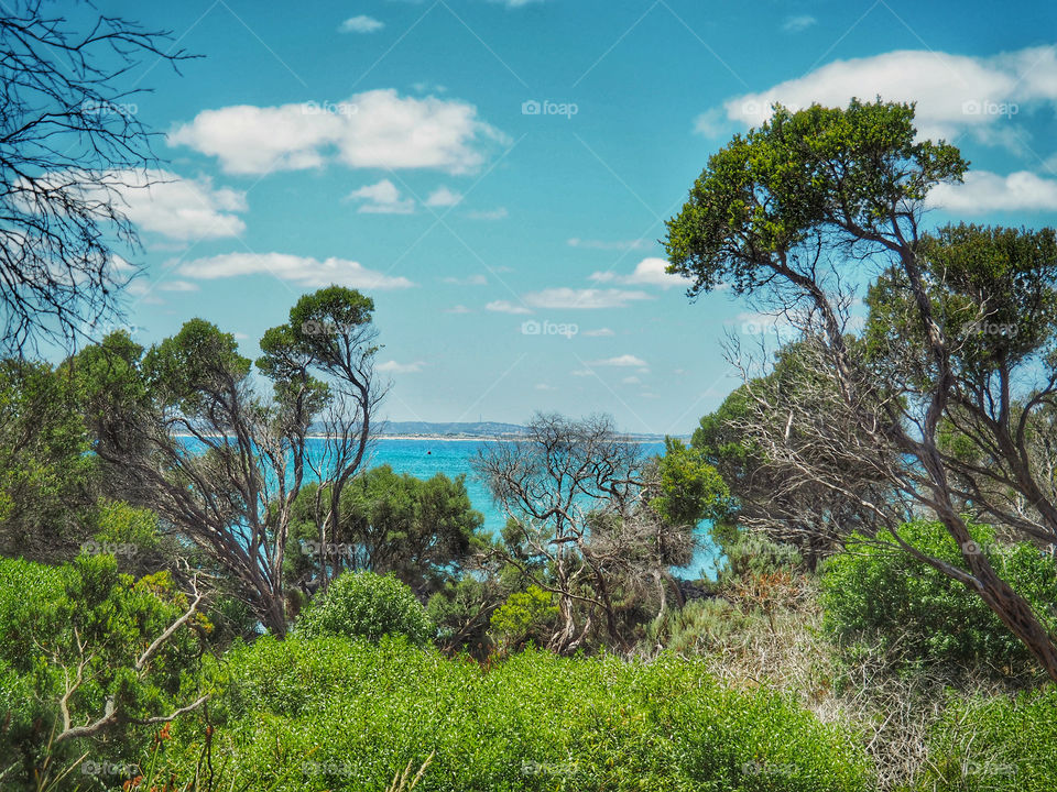 Australian coastal view 