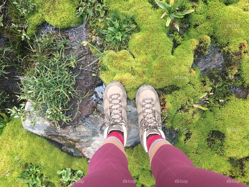 Creek with the mossy rocks