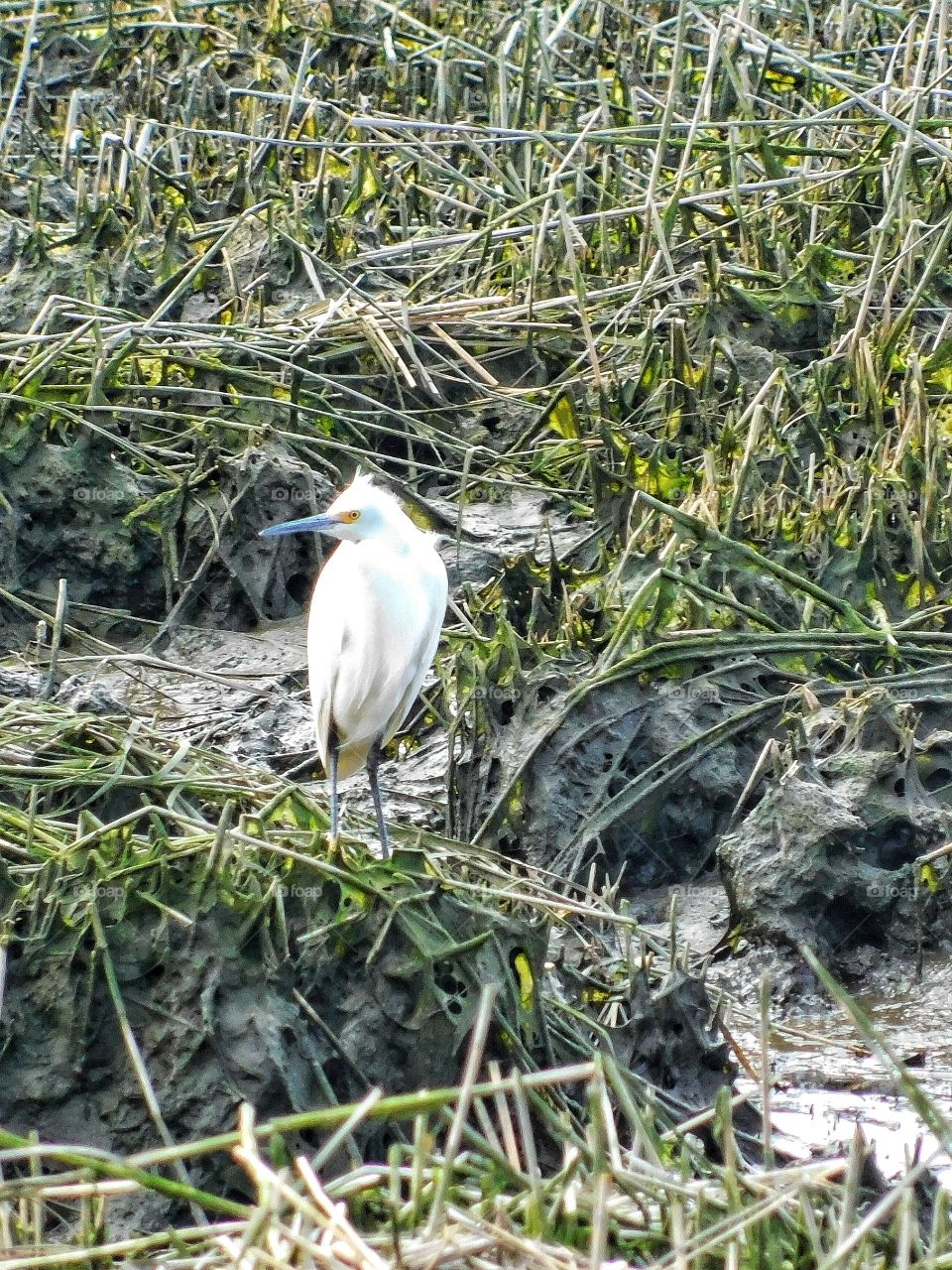 At the harbour 