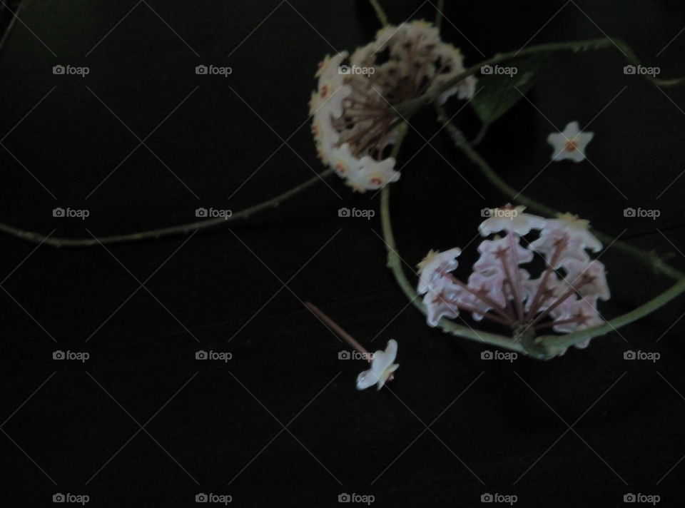 Цветок декор