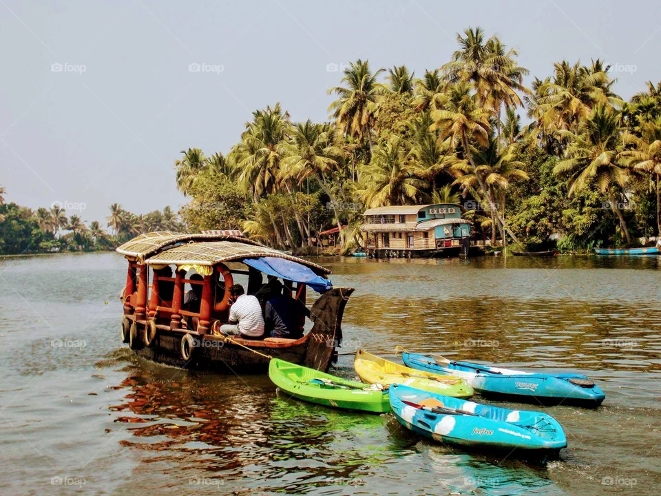 boats