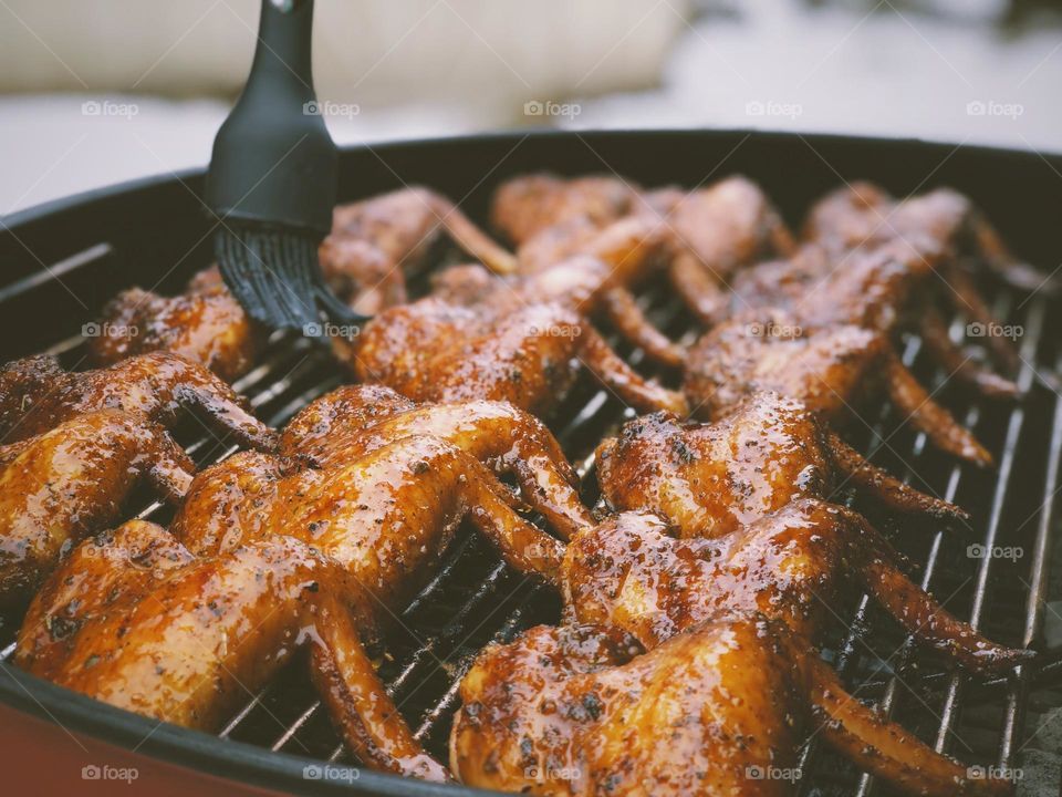 Beautiful and colourful butterfly