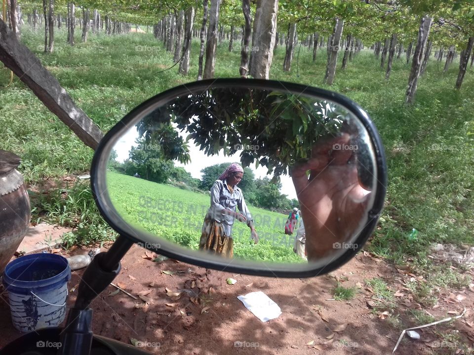 mirror view of nature