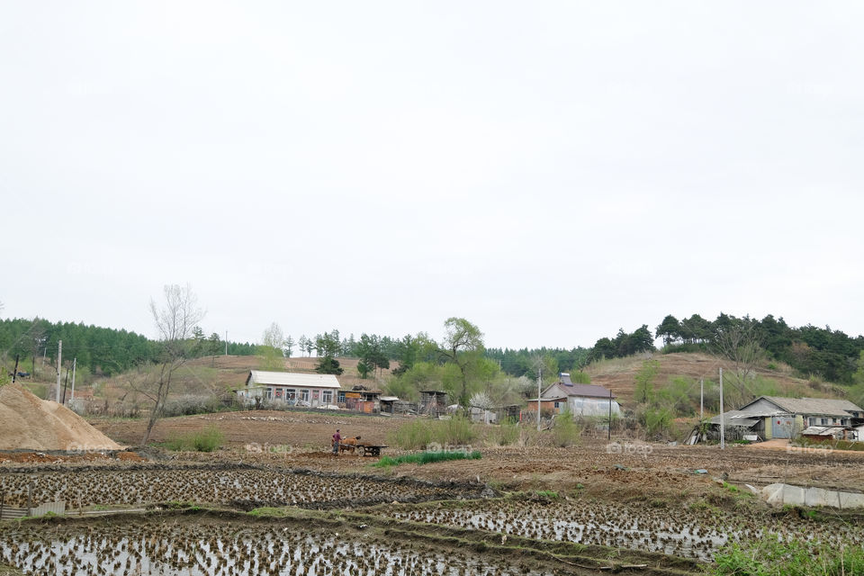 a Chinese village in spring