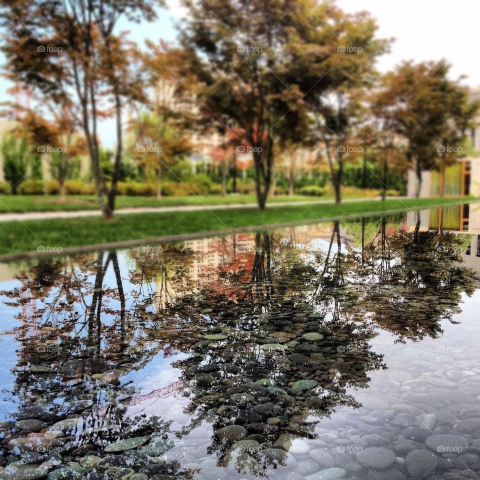 Reflection at The Barnes