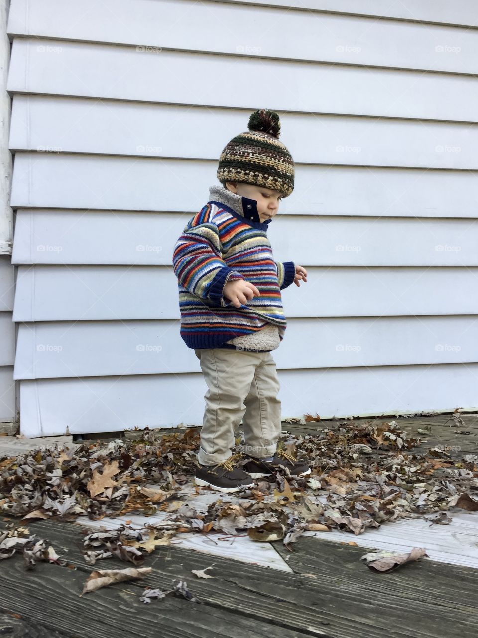 Cute toddler boy in warm clothing playing in crunchy fallen leaves in autumn 