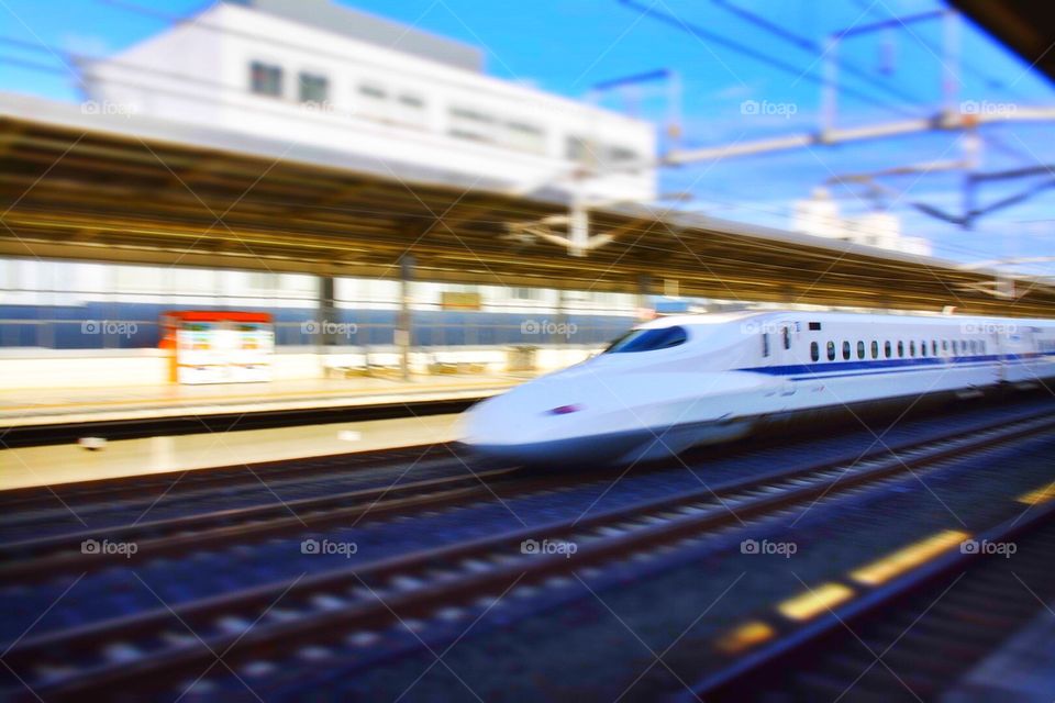 Shinkansen (Bullet Train)