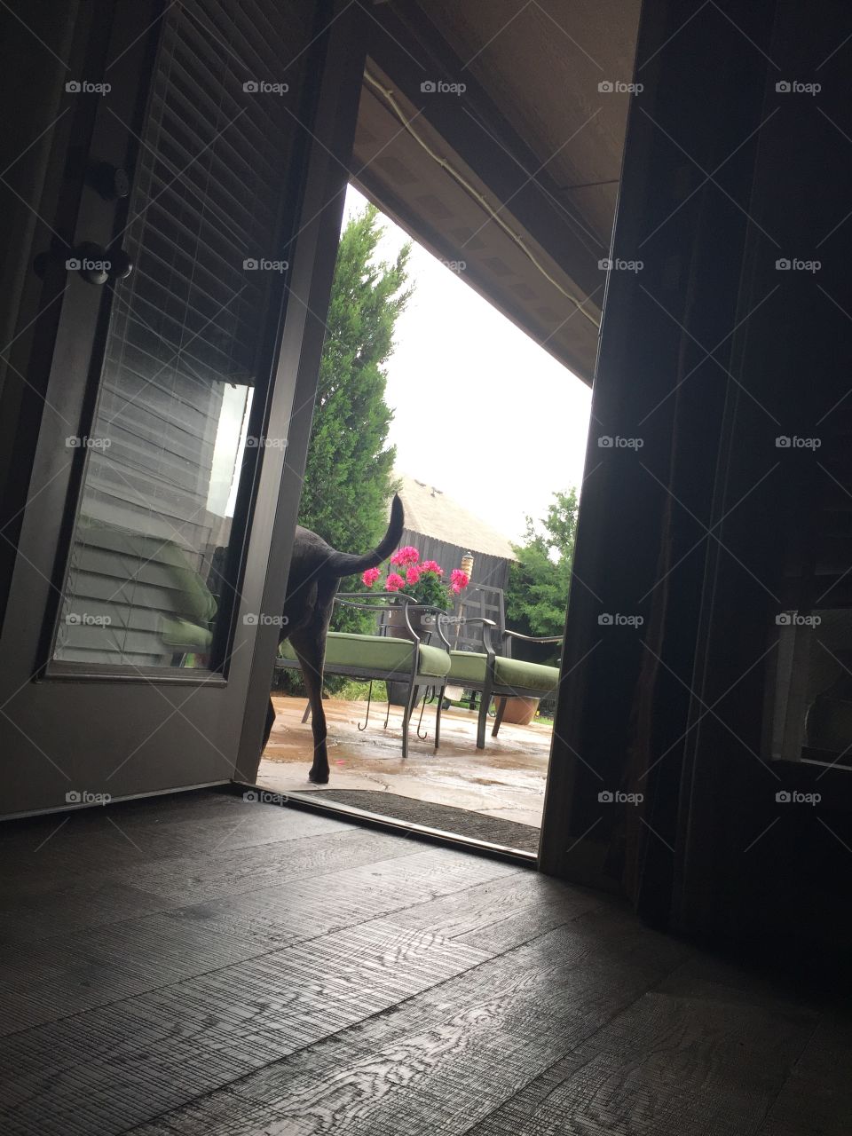 Window, Architecture, Light, Indoors, No Person