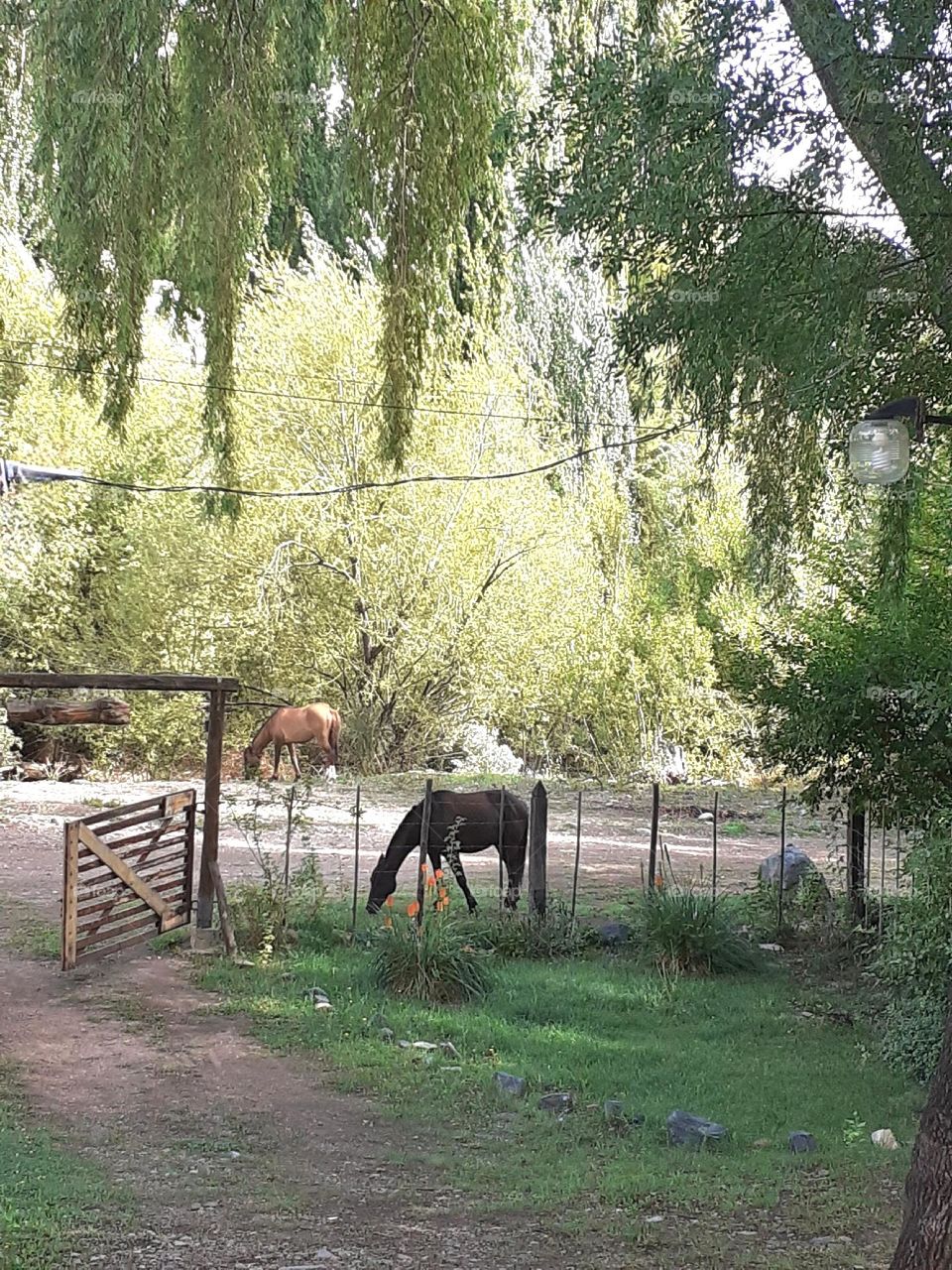 vacaciones en el campo