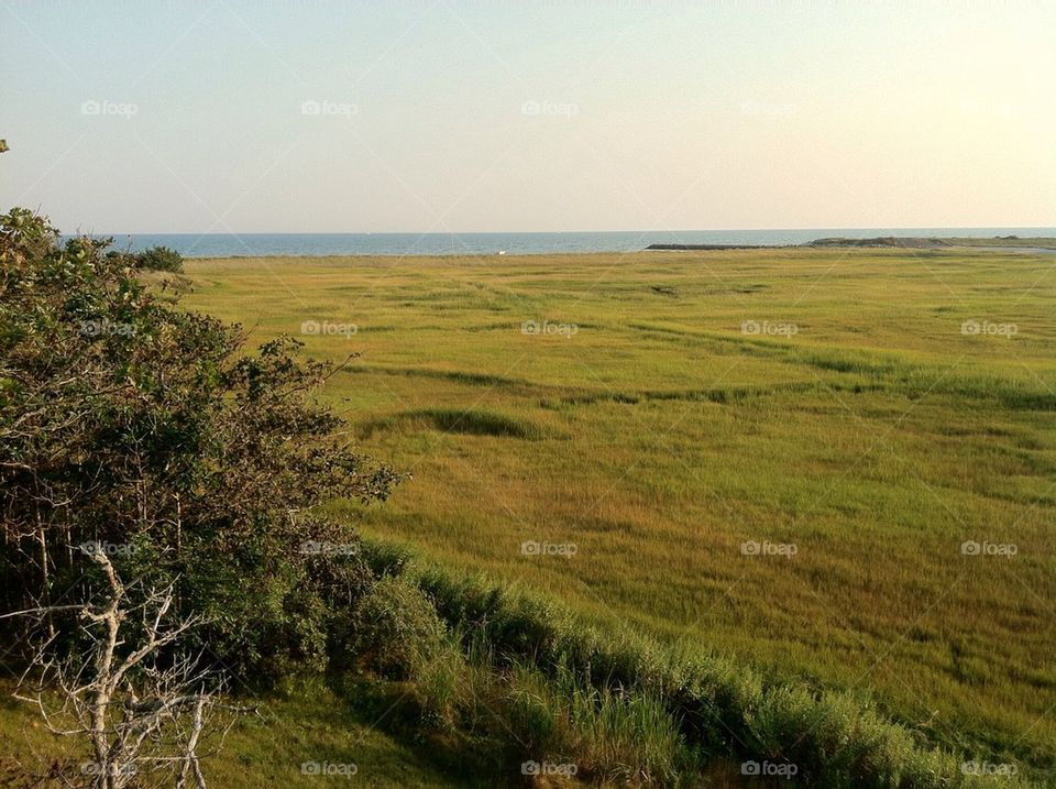 Cape Cod vista 