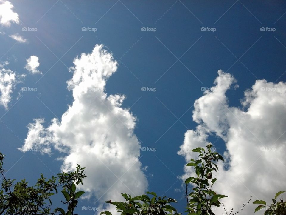 fluffy clouds