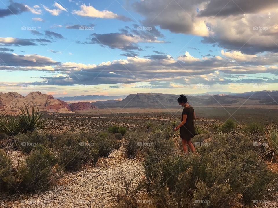 Red rock desert wanderings