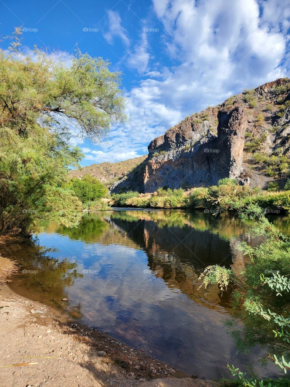 Salt River in Arizona