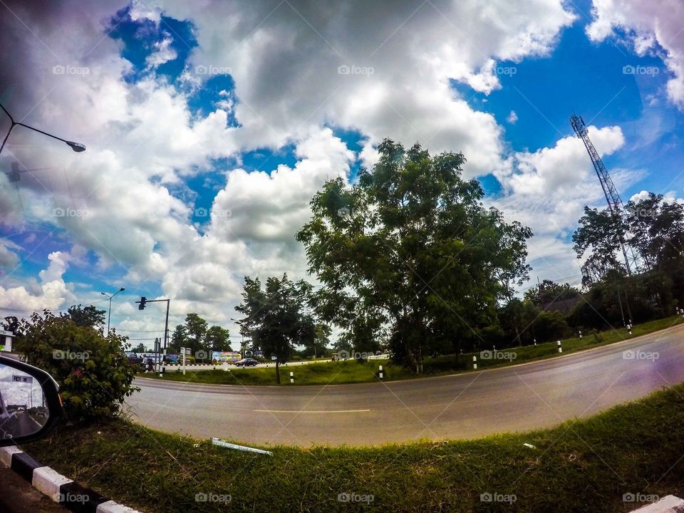 Tree, Road, Landscape, Sky, Street