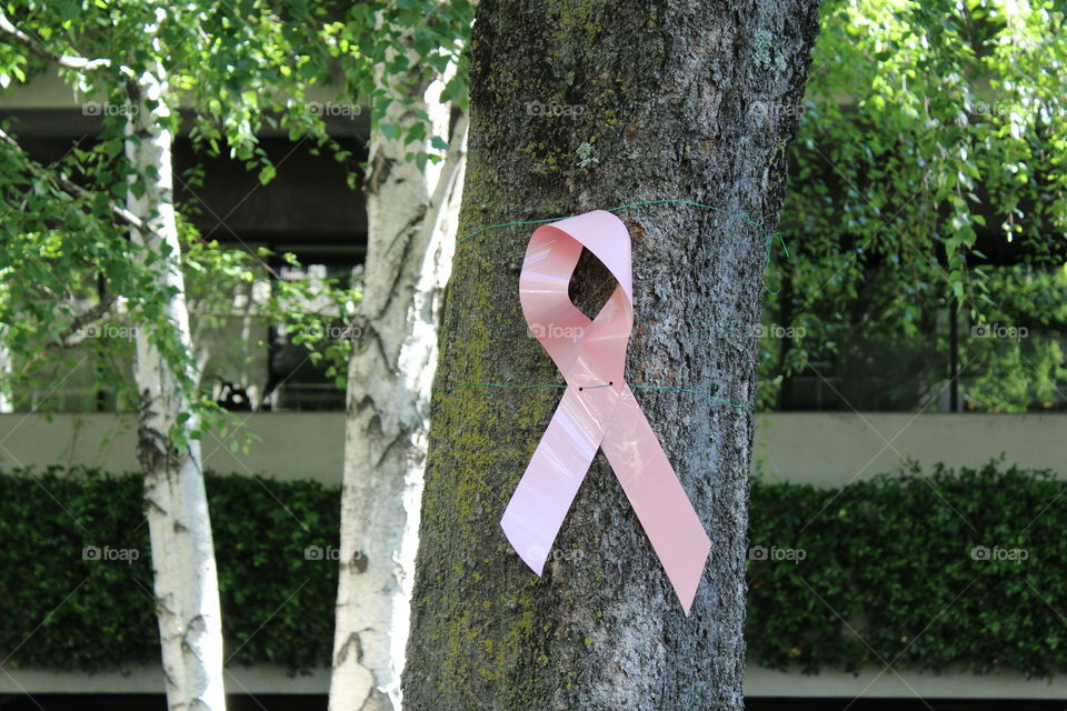 pink ribbon