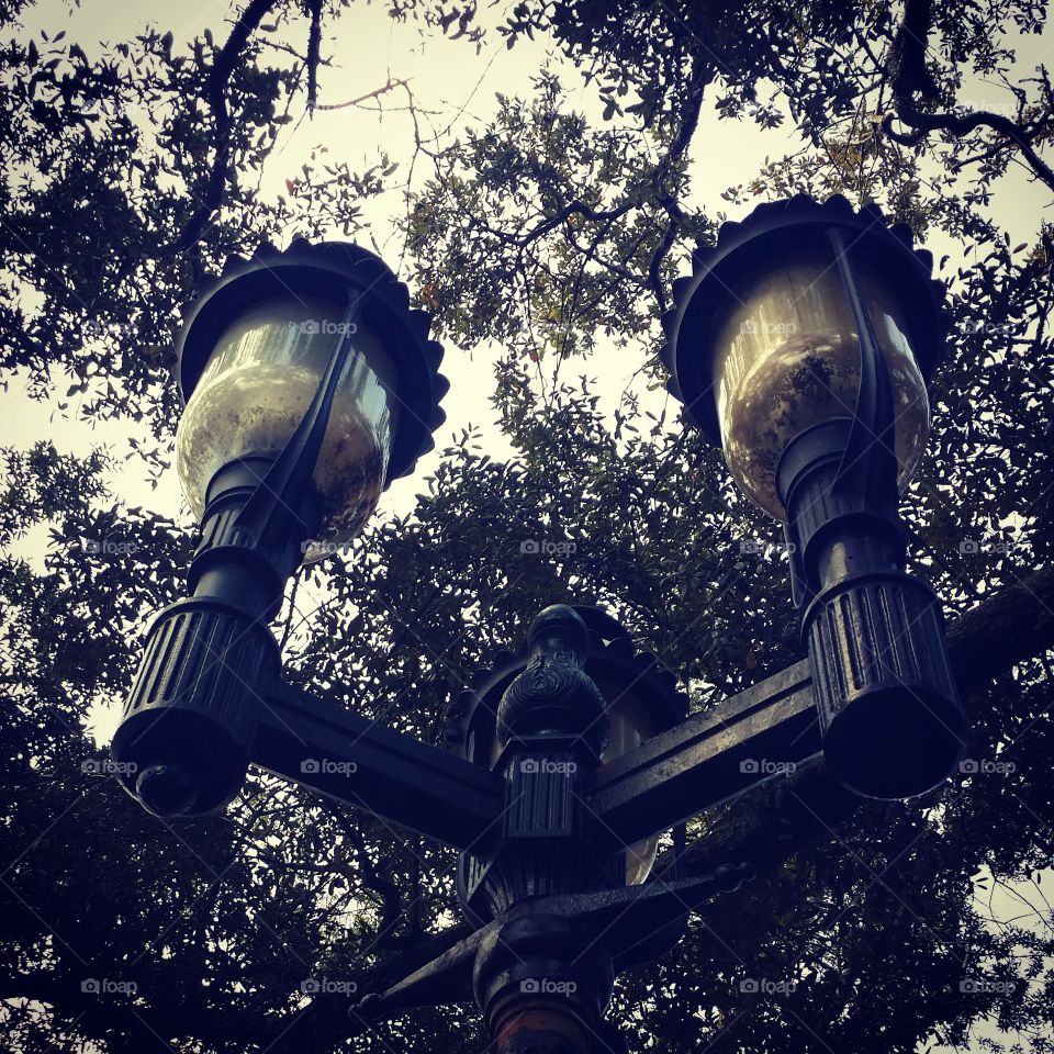 lamps. playing in the park 