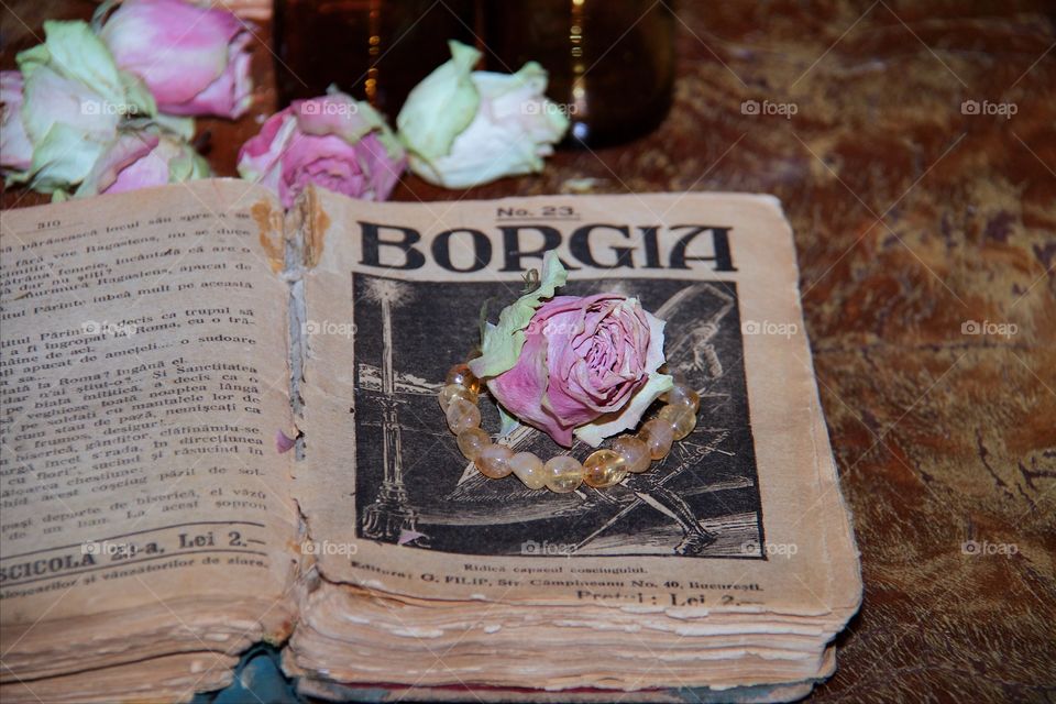 Old book, Borgia 