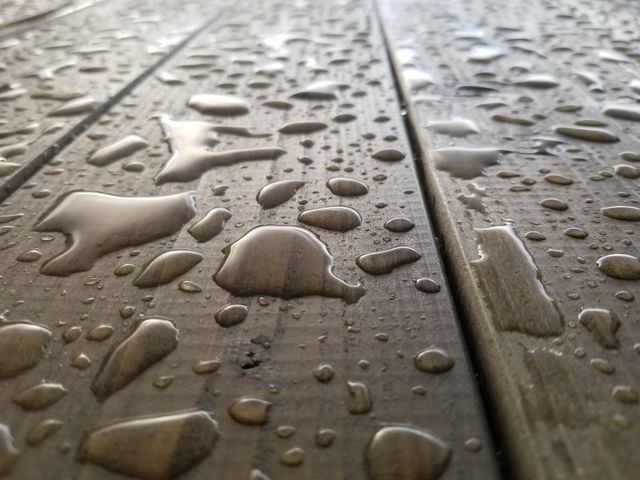 wet
