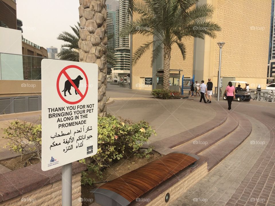 Dubai pet policy 