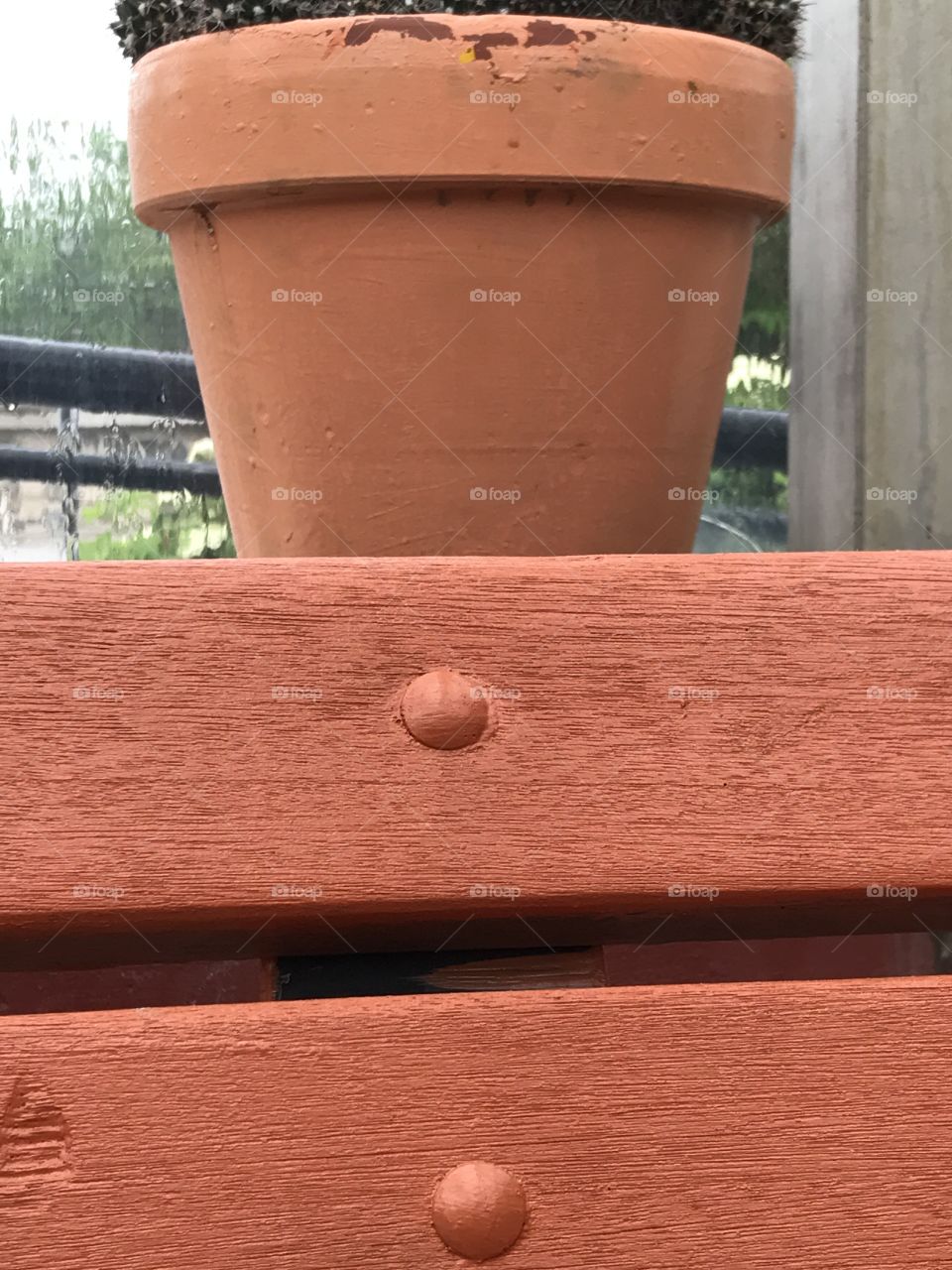 The orange color story 