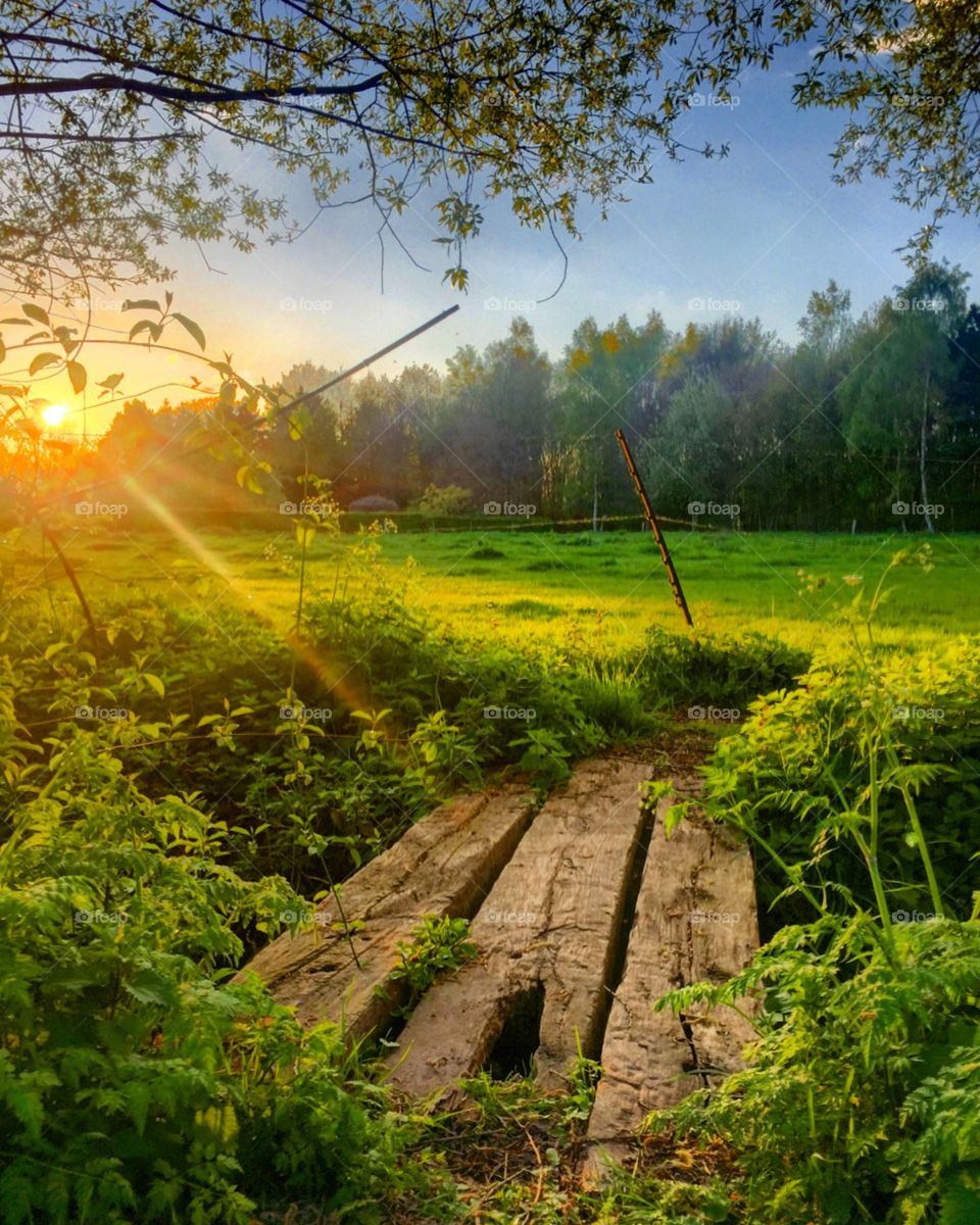 Little bridge to the sunset