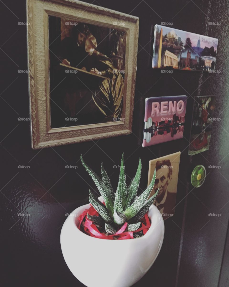 House plant magnet 