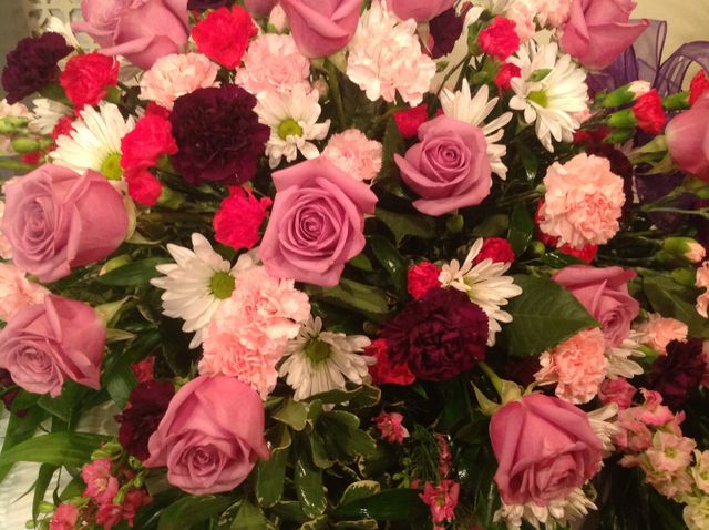 Beautiful flowers