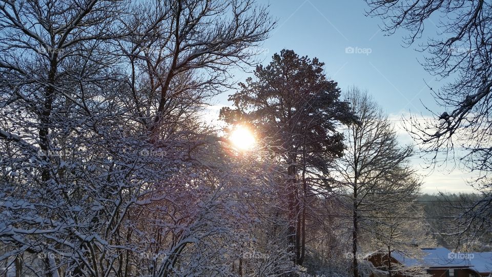 Last Snow Day in GA 2016. snow