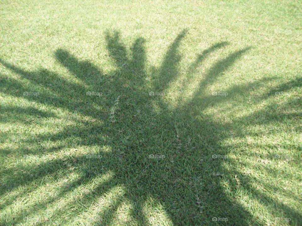 Travel in Tunisia