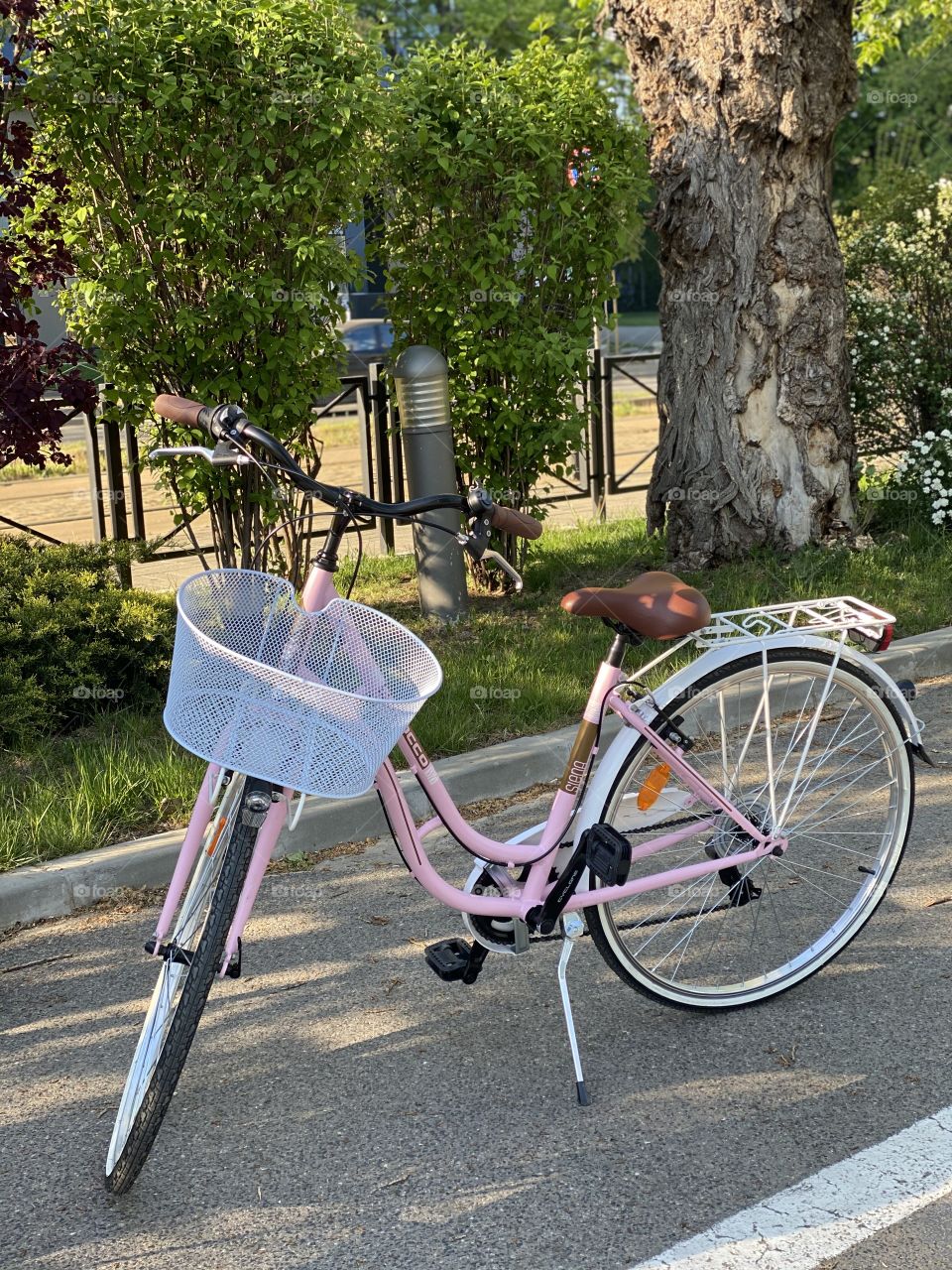 Pink bike