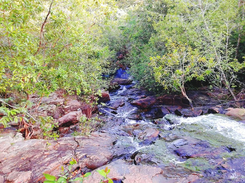 Nature rock water flows