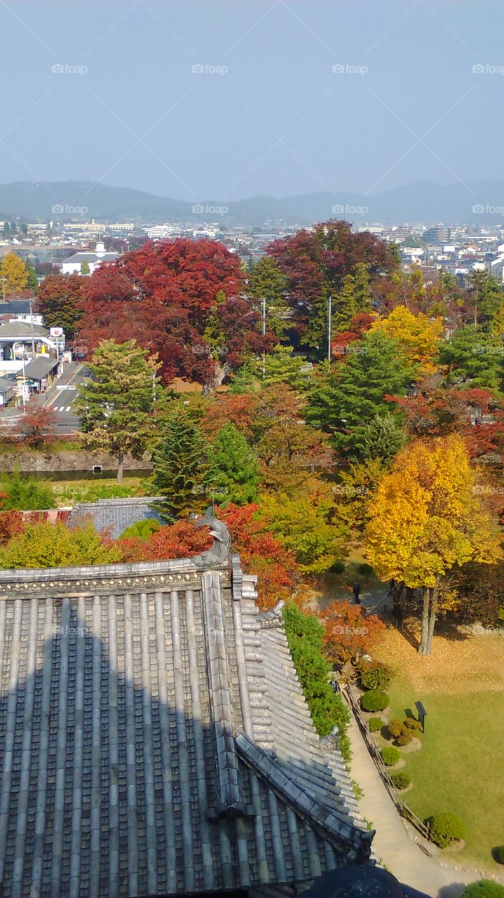 Matsumoto in the fall