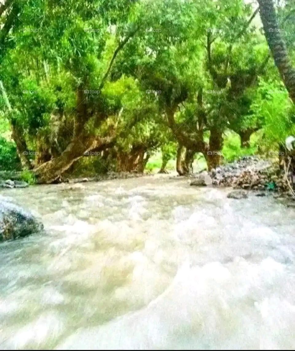 Glory be to God, the magnificent and picturesque view and the natural green trees are a view that is nothing more wonderful than it