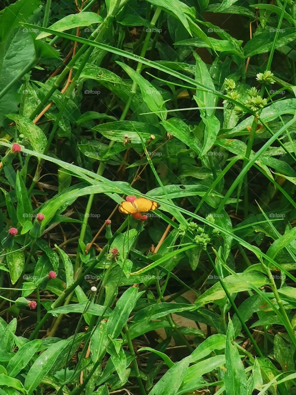 wwwww2wew2e2e2e22e3e3e