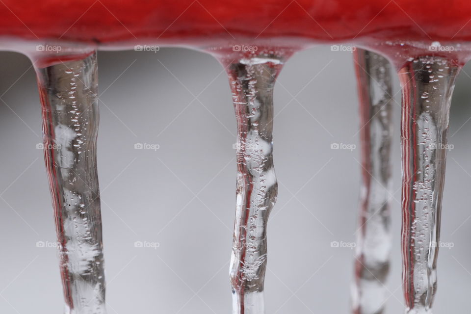 From snow to icicles. Outdoor photography 2020