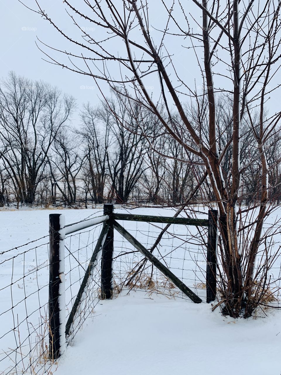 Corner reinforcement section of a wire fence,  a snowy farm field and bare trees in the background 