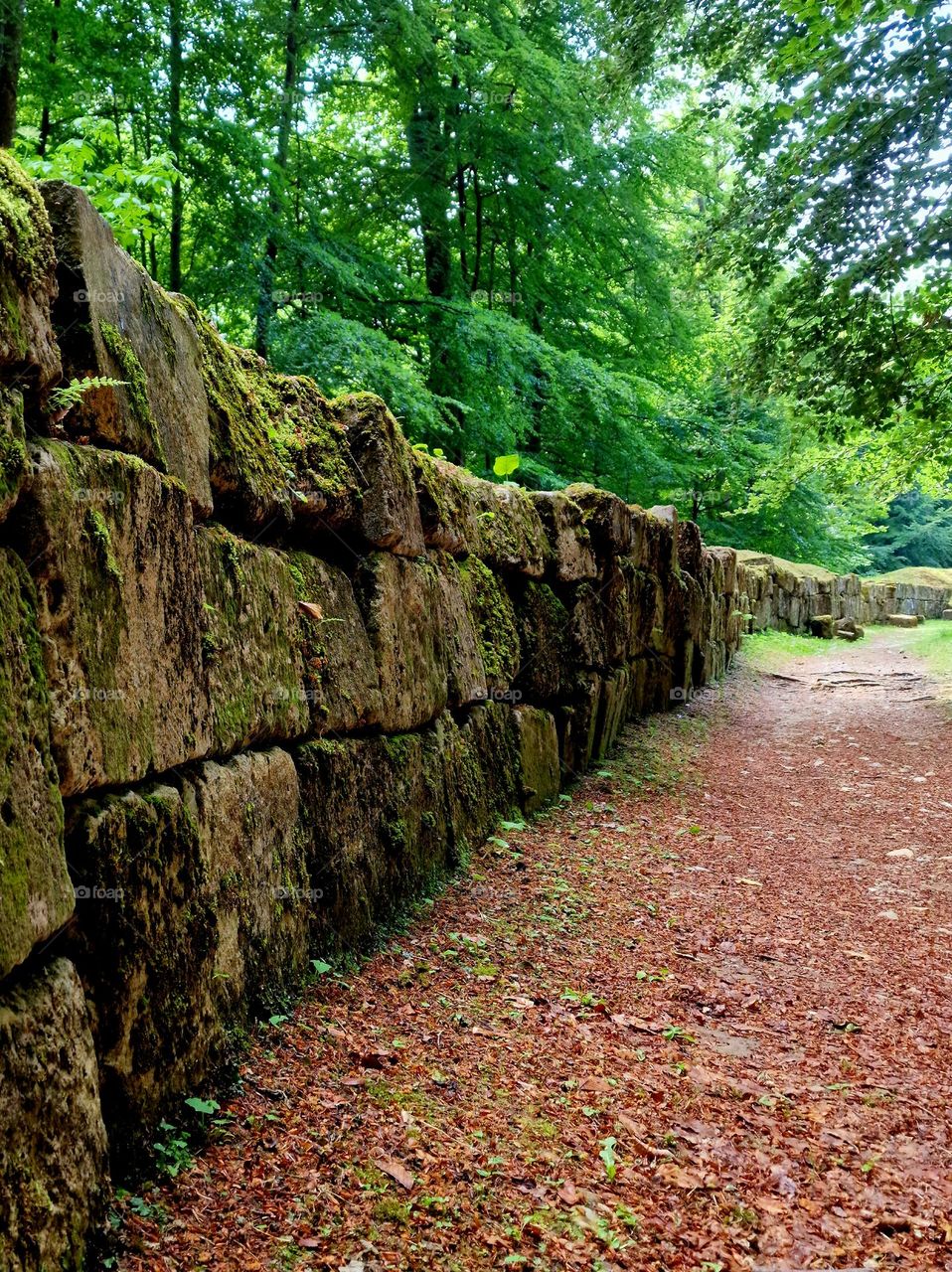 the old wall around the Citadel of Sarmisegetusa Regia