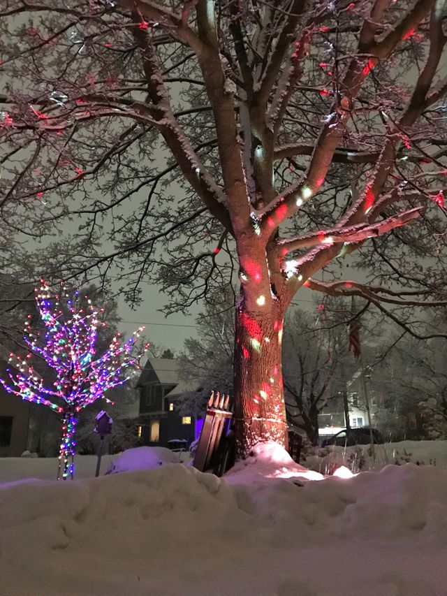 Christmas lights